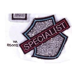 Θερμοκολλητική στάμπα στρας